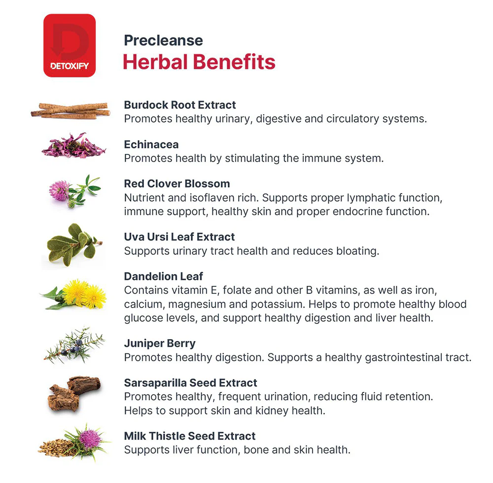 Detoxify Precleanse Herbal Supplement