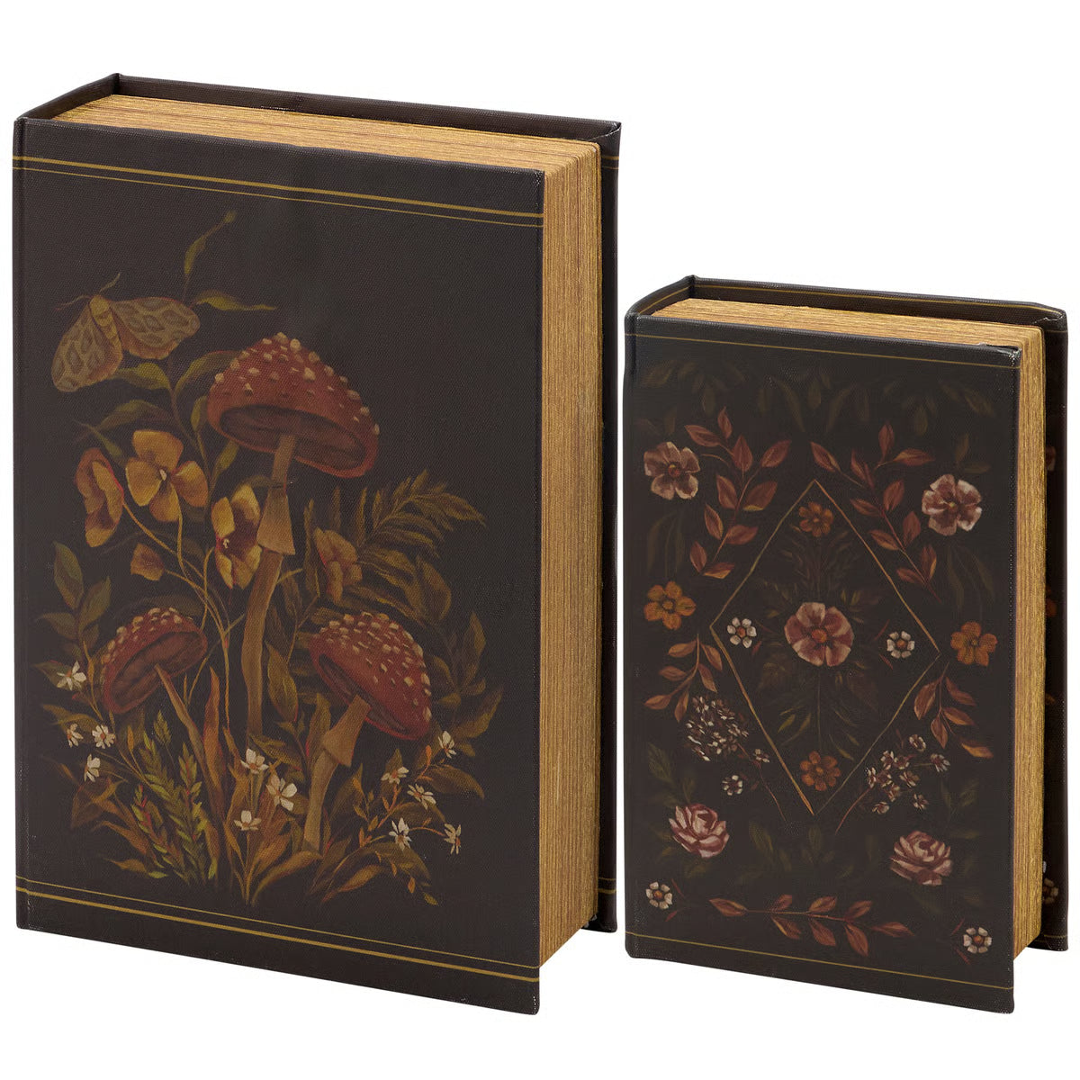 Hidden Garden Book Box Set 2 Piece