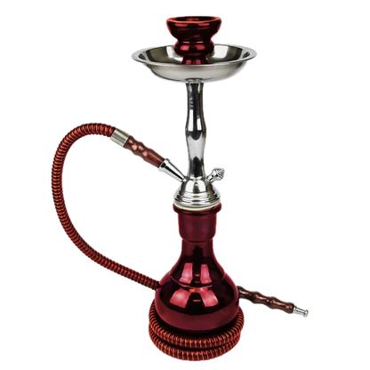 Badshah Junior 1 Hose Hookah